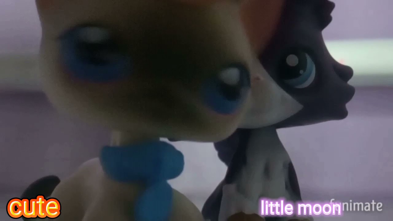 mep part of Bia lps show