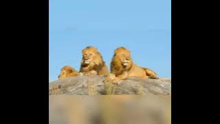 gabaygii aduunyo ilahay naxariisti jano haka warabiye abwaan Ahmed helale