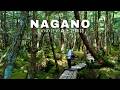 Mononoke Forest & real-life “Your Name” lake 🌱 2 days in Nagano | Japan travel vlog