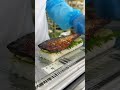 地元が愛する若狭の醤油漬け【醤油かおる焼き鯖すし】