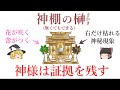 家に神様がきた証拠。榊は右と左で意味が違う。枯れる現象。ゆっくり解説。