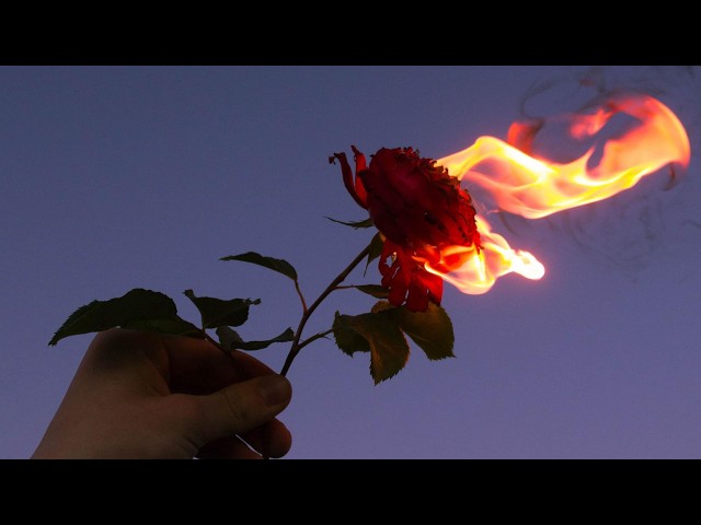 FALLINGOUTOFLOVE - Basicc2eezy