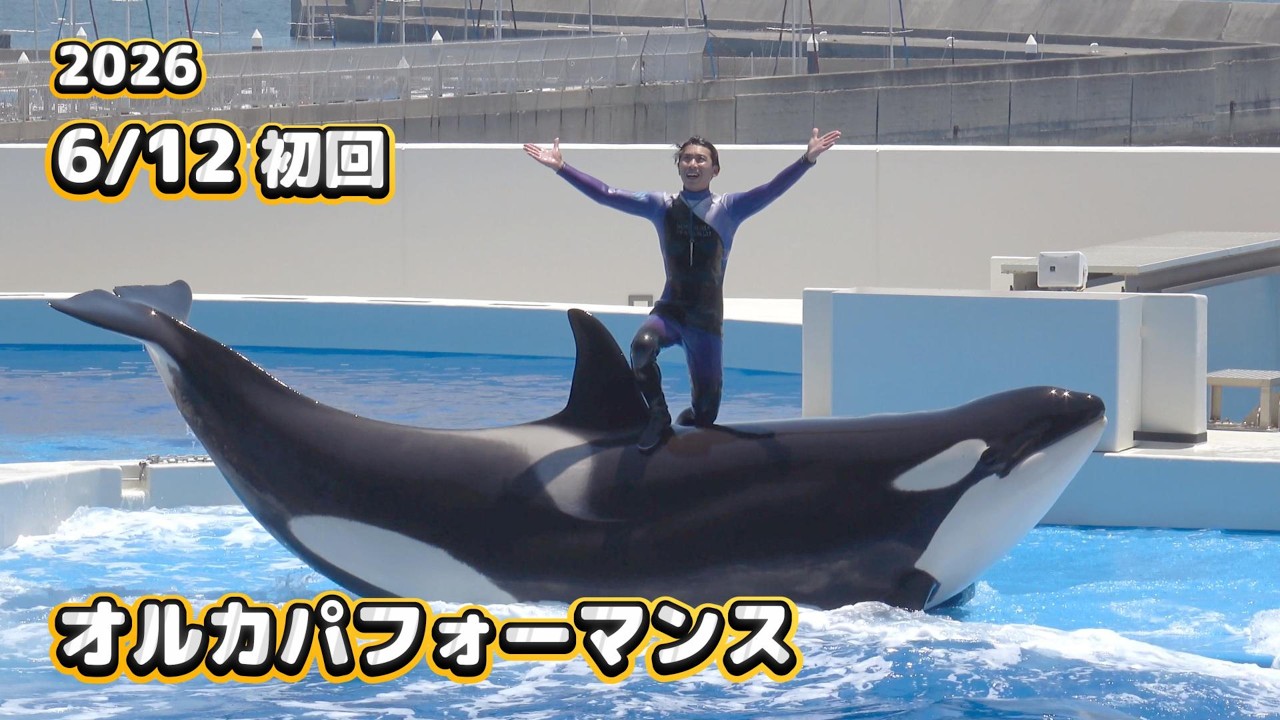シャチ】天気が良い中のびのび！6月12日初回オルカパフォーマンス