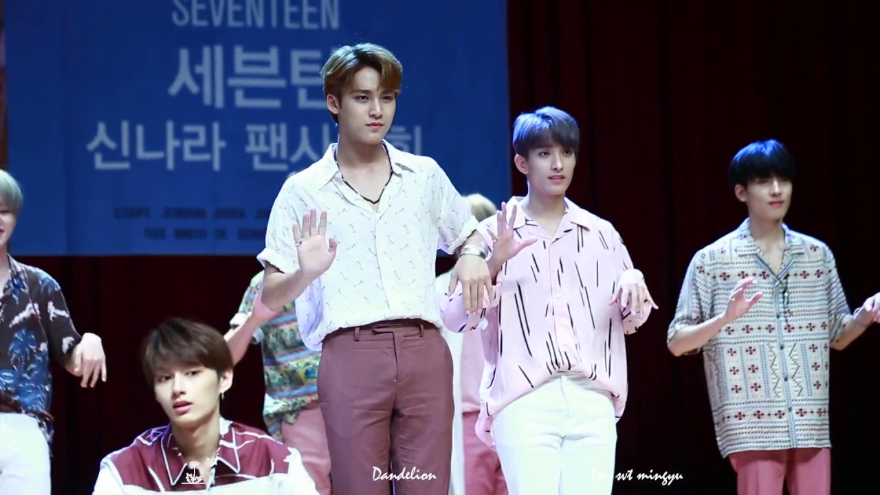 180720 신나라팬싸 어쩌나 민규직캠(MINGYU FOCUS)