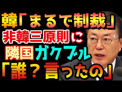 【海外の反応】菅首相「韓国との対話はない。韓国が歴史問題への姿勢を変えない限り」韓国メディアようやく認識
