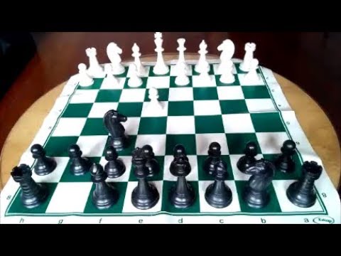 Defesa Alekhine - O Guia Completo para Iniciantes - Xadrez Forte