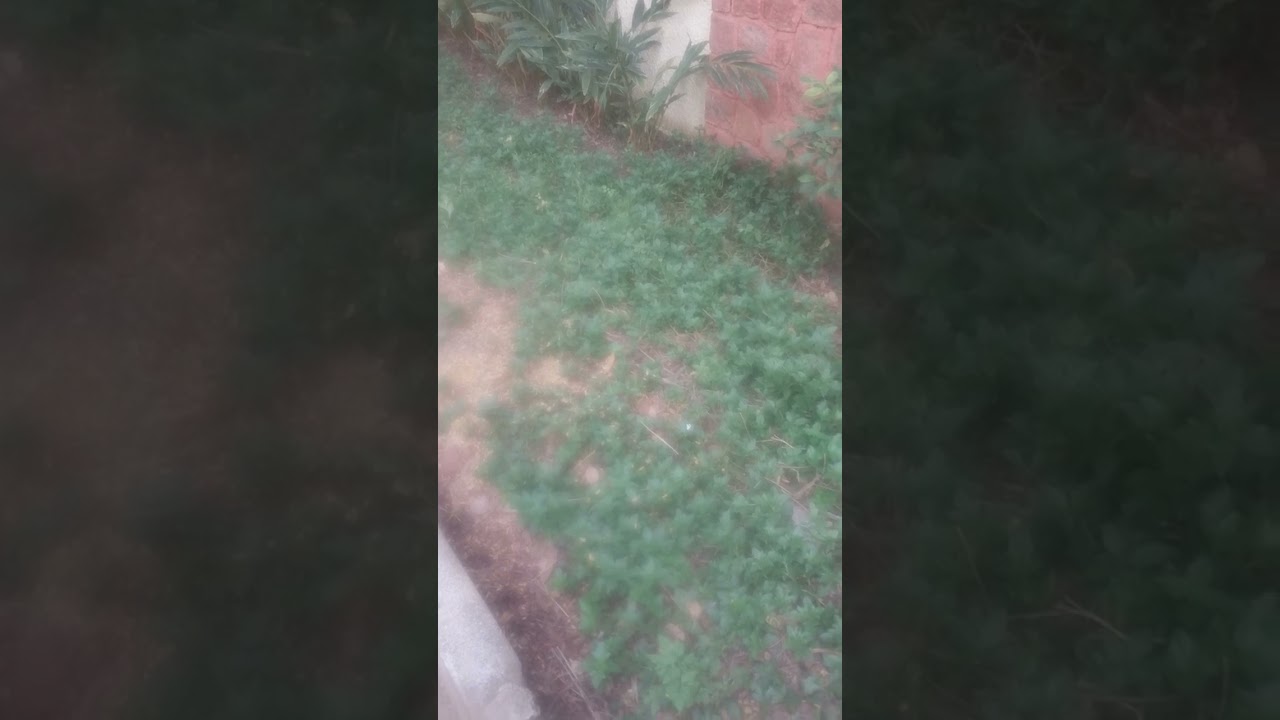 narchethi google team ke manamarnthe nandri