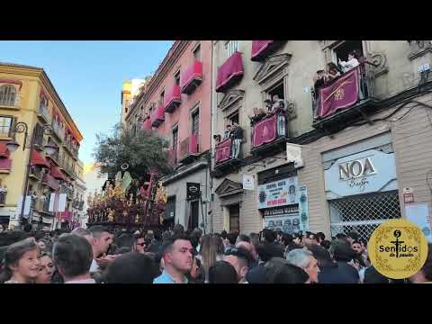 Real e Ilustre Hermandad del Santísimo Sacramento y Cofradía de Nazarenos de Nuestro Padre Jesús de la Redención en el Beso de Judas, María Santísima del Rocío, Nuestra Señora del Carmen, San Fernando Rey y San Lucas Evangelista