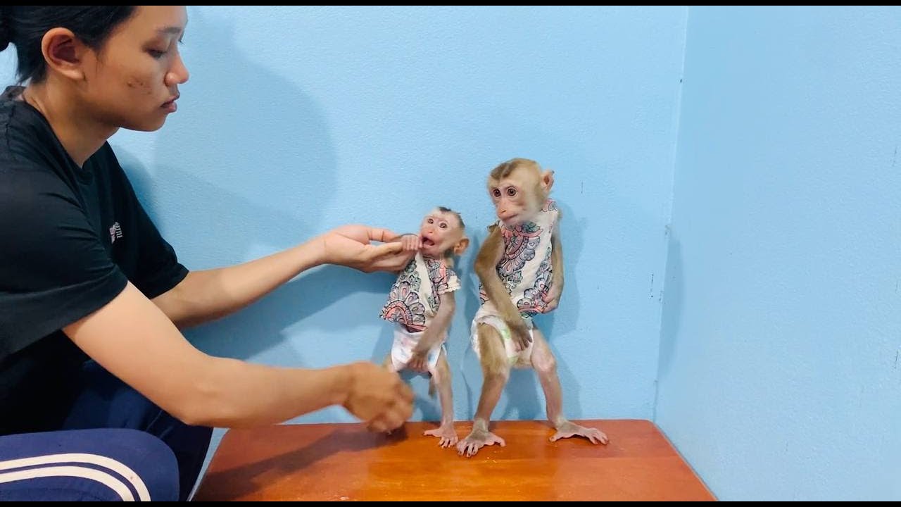 Jasmine stronq refused mom teach her to stand