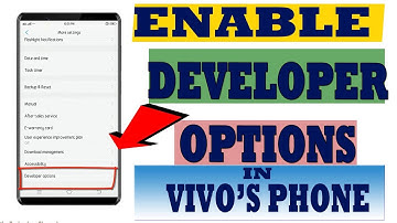 How to enable Developer Options in Vivo