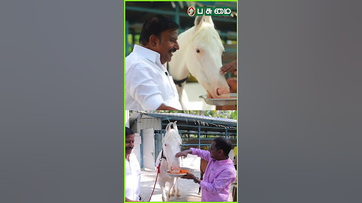 ராஜஸ்தான் குதிரை 10 லட்சம் வரும்... அமைச்சர் KN Nehru -வின் பிரமாண்ட பண்ணை விசிட்!
