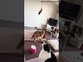 猫ちゃん達🐈🐱