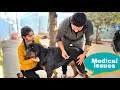 jarry has some medical problems||Deworming video.