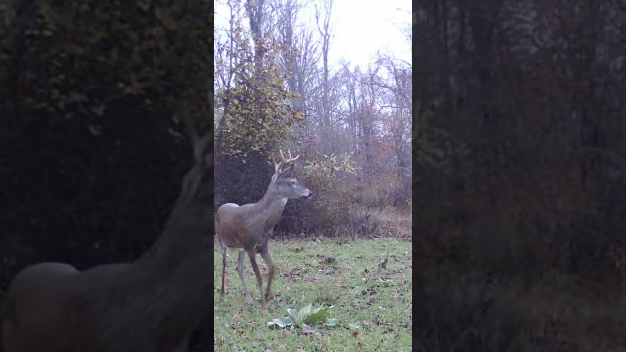 One of the youngsters that gets a pass this year. 