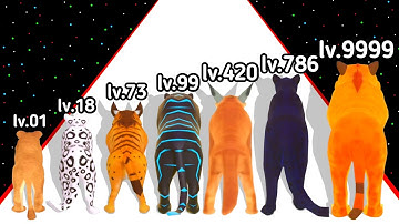 Cat Evolution Run 3D Game Level Up Cat Max Level Gameplay (New Update)2024