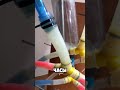 новый водородный реактор готов