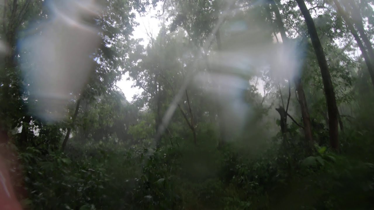 Washington State Park MO. 2020