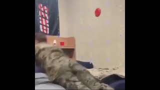 #shortsviral #shorts #army#funny #laugh