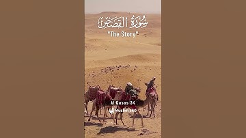 Surah Al-Qasas 34 | Hindi - Urdu Audio translation | سورة القصص #alqasas #hindi #urdu
