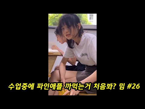 수업중에 파인애플 까먹는거 처음봐? 밈#25
