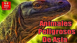 Top 8 Animales Más Peligrosos de Asia: ¡Descubre Sus Hábitats y Peligros!