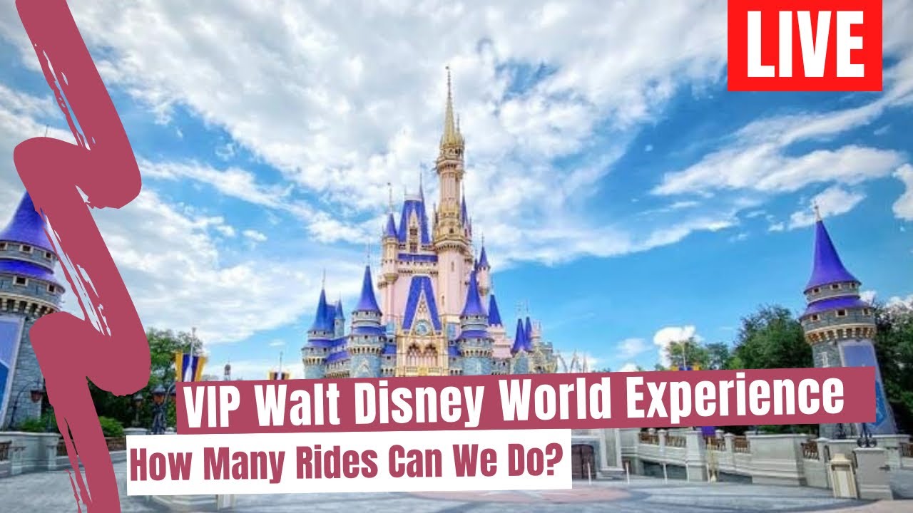 🔴 LIVE Walt Disney World VIP Tour Experience Magic Kingdom