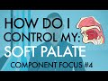 Component Focus #4 - “How Do I Control My Soft Palate?” - Voice Breakdown