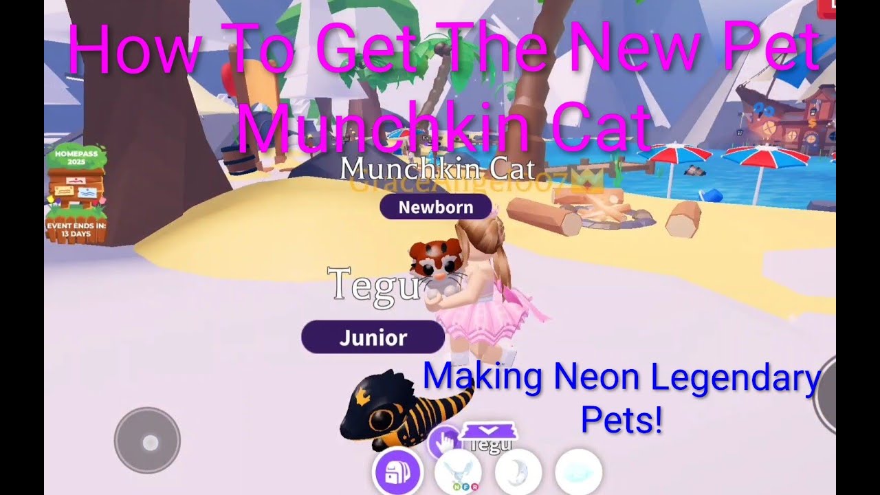 Adopt Me Update How To Get The New Munchkin Cat Pet!