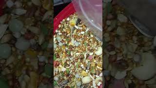Hamster Food Refill