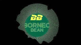 Satu Rasa Cintae Viral Bass Remixx 16