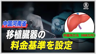 河南省が移植臓器の料金基準を設定 専門家「人々の目をそらすため」【禁聞】