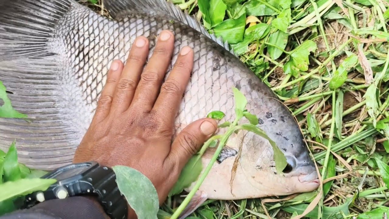 ALHAMDULILLAH HADIAH DARI ALLAH REAL LIFE. SPOT BARU. AKU HAMPIR TEWAS!!!