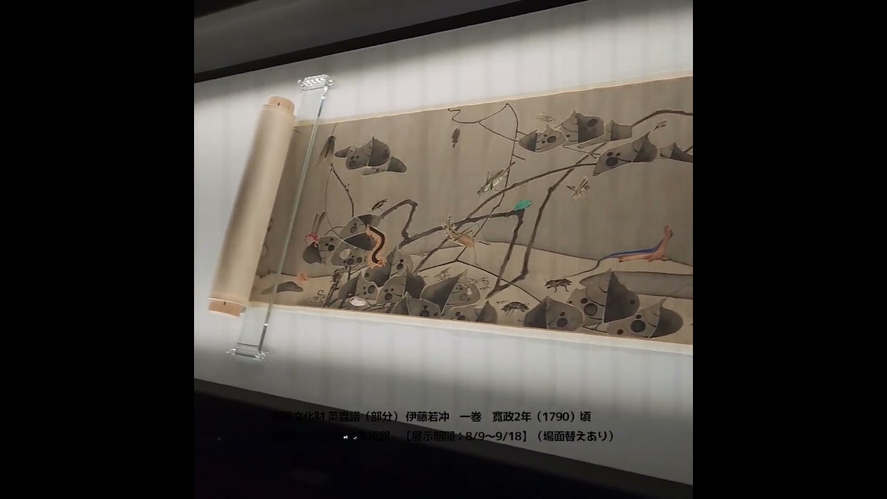 伊藤若冲の代表作《菜蟲譜（さいちゅうふ）》公開 - YouTube