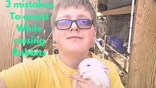 3 Big MISTAKES To Avoid While RAISING RABBITS!! by Deadwood Rabbitry 1,427 views 2 months ago 8 minutes, 4 seconds