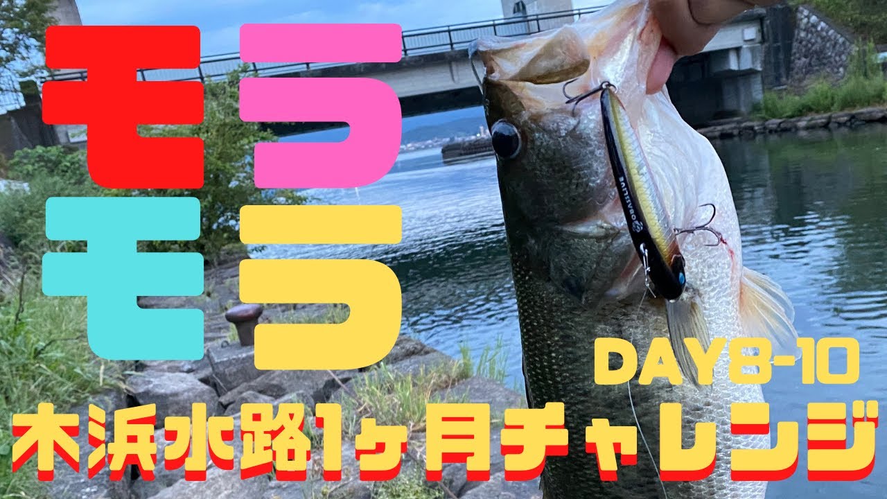 【琵琶湖 木浜水路】モラモラをゆらゆらさせてるとデカバスがスゴい勢いで強烈バイト！ファイトも熱戦でもう堪らん！