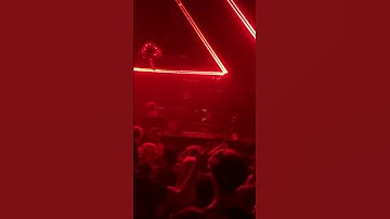 Thumbnail of Michael Bibi - Hanging Tree (Skream Live @soundnightclub August 18, 2023)
