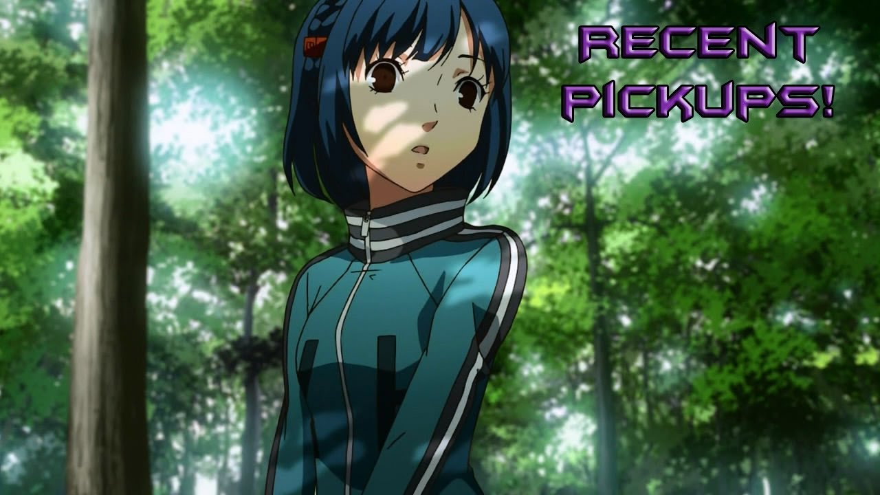 Recent Pickups - JRPGs and Few Anime 