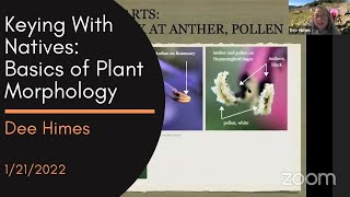 Keying With California Native Plants: Basics of Plant Morphology 1/21/2022