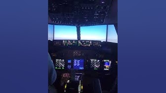 Boeing 737 Flight Simulator in Tampa Bay