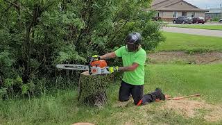 elm removal. ms 362 and ms 400 comparison
