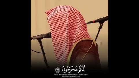 ما تيسر من سورة المؤمنون بصوت الشيخ ناصر القطامي 🤍