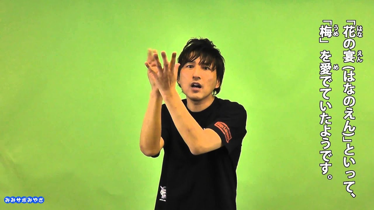 Mimi Support Miyagi H26-1 Sakura, Sakura - YouTube