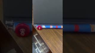 What is a Neuron (using household Items)