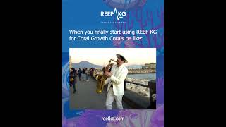 When your corals hit the high notes 🎶 — that’s ReefKG magic and that a #facts