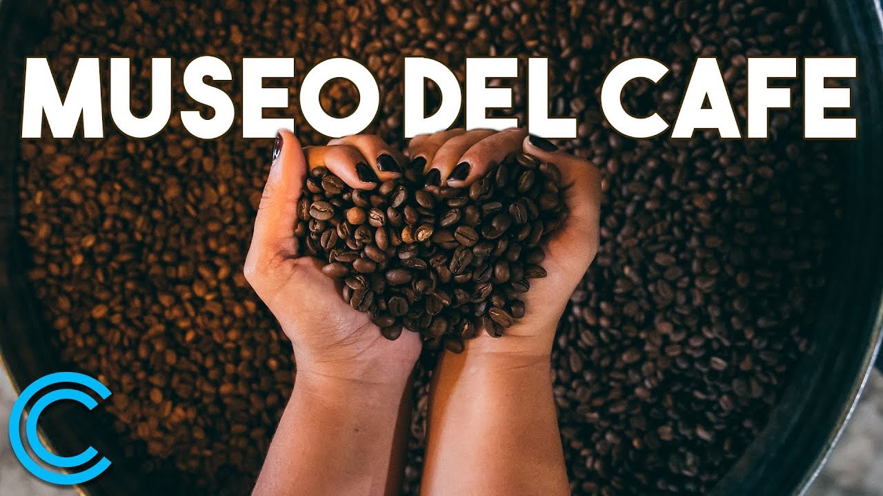 Museo del Café y su Ciencia Del Café