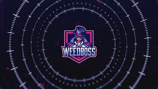 Free After Effects Intro Template #491 : Hi Tech Logo Intro Template for After Effects