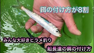 みんな大好きヒラメ釣り！船長達の生き餌の付け方