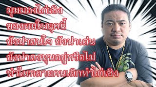 เปิดมุมมองส่วนตัวไก่เชิงยุคนี้ ยังน่าเล่น ยังน่าลงทุนอยู่ไหม ทำใมหลายคนเลิกเลี้ยงไก่เชิง