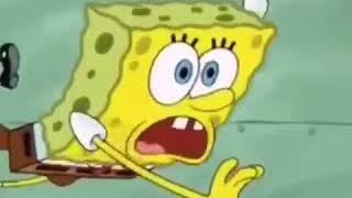 REEEEE
