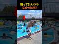 踊ってたんじゃなかったの?